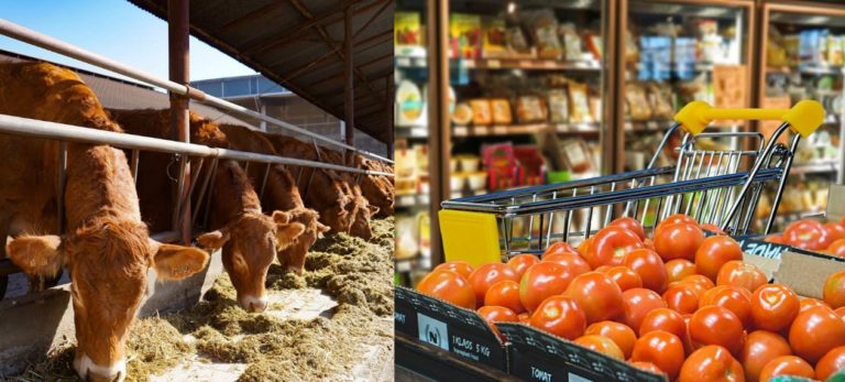 Voor 20 euro per week eet je gezond én duurzaam
