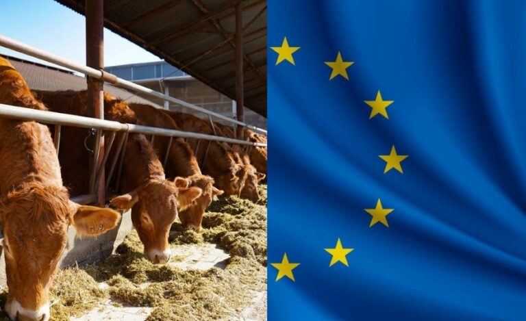Europa en duurzaam voedsel