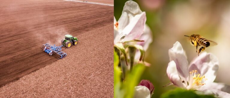 Biodiversiteit is gratis. Maar het verlies kost nu al miljarden