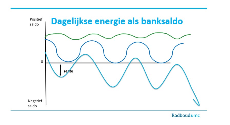 Grafiek die het dagelijkse verloop in energieniveau laat zien.